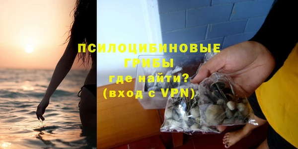 мяу мяу кристалл Инсар
