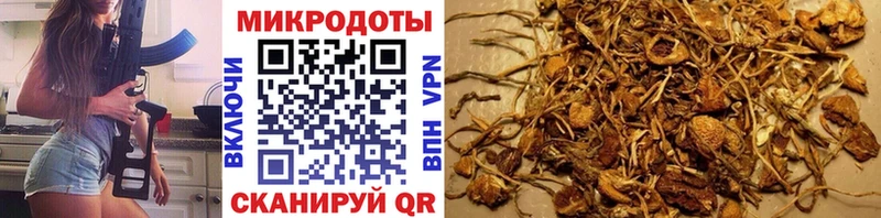 Купить где  Камызяк  Псилоцибиновые грибы GOLDEN TEACHER 