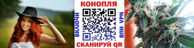 Конопля White Widow Купить закладки Камызяк